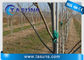 Vara UV de Rod For Plant Tree Support Polos da fibra de vidro de Pultruded do inibidor